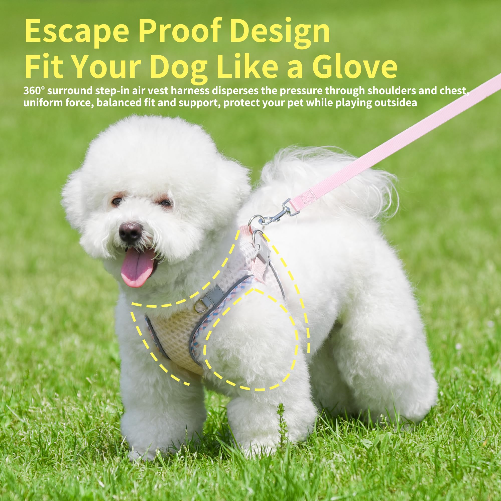 Joypaws Step In Dog Harness And Leash Set, No Pull Escape Proof Vest Harness With Soft Diamond Mesh And Reflective Bands, Adjust